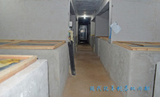 現(xiàn)代化養(yǎng)蛇基地